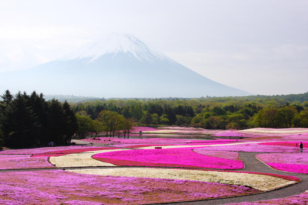 Gasthof Melange Fujikawaguchiko Buitenkant foto